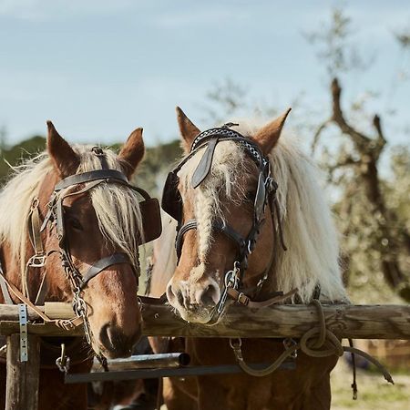 Agriturismo Gli Archi Fauglia Buitenkant foto