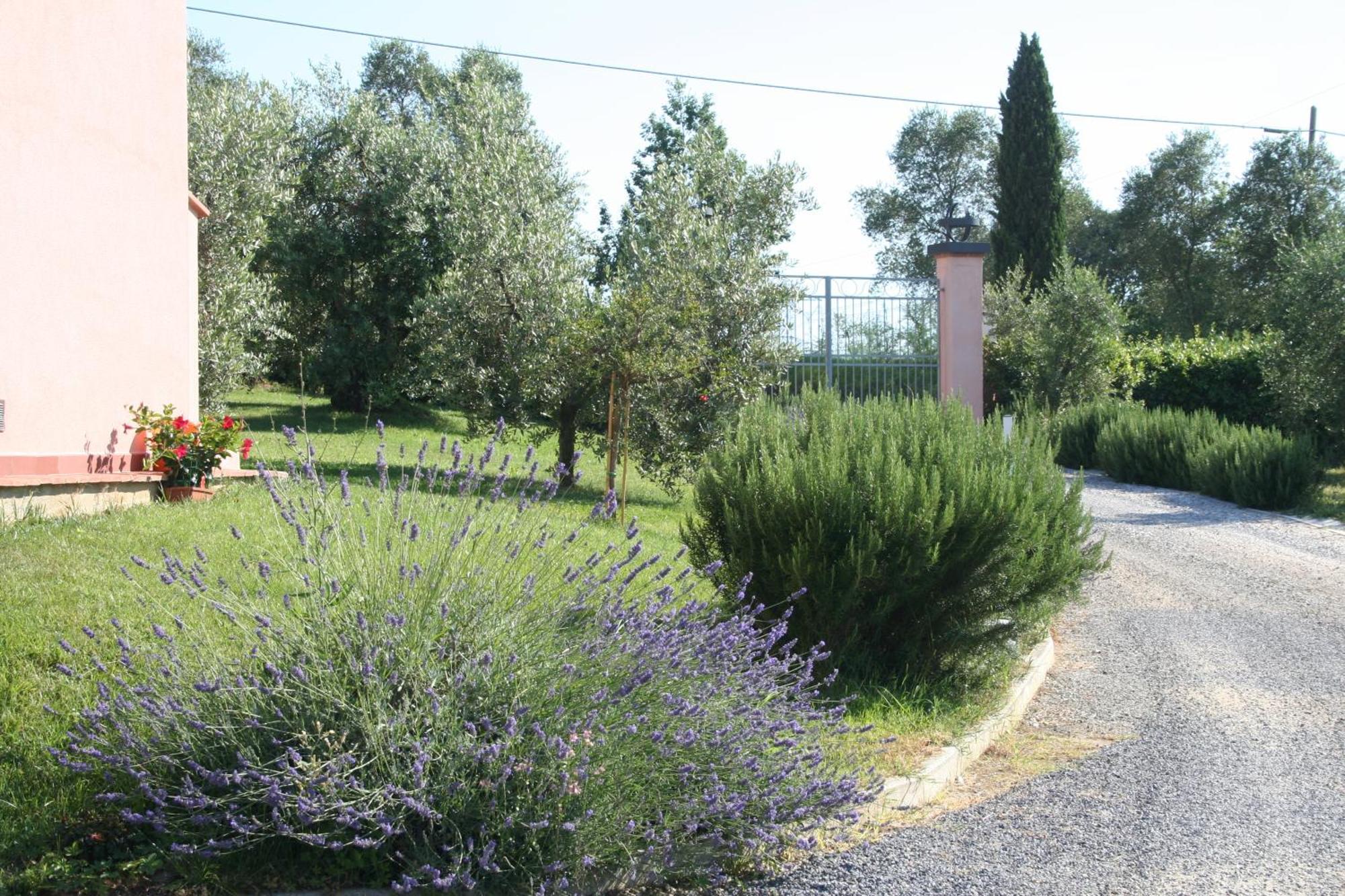 Agriturismo Gli Archi Fauglia Buitenkant foto