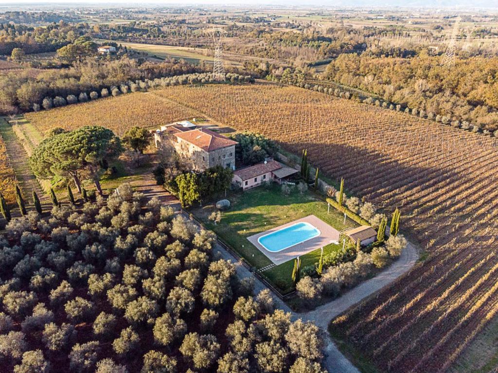 Agriturismo Gli Archi Fauglia Buitenkant foto