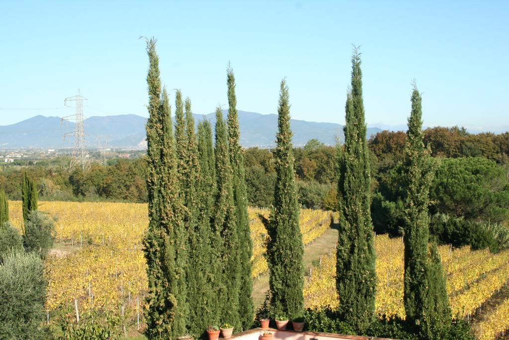 Agriturismo Gli Archi Fauglia Buitenkant foto