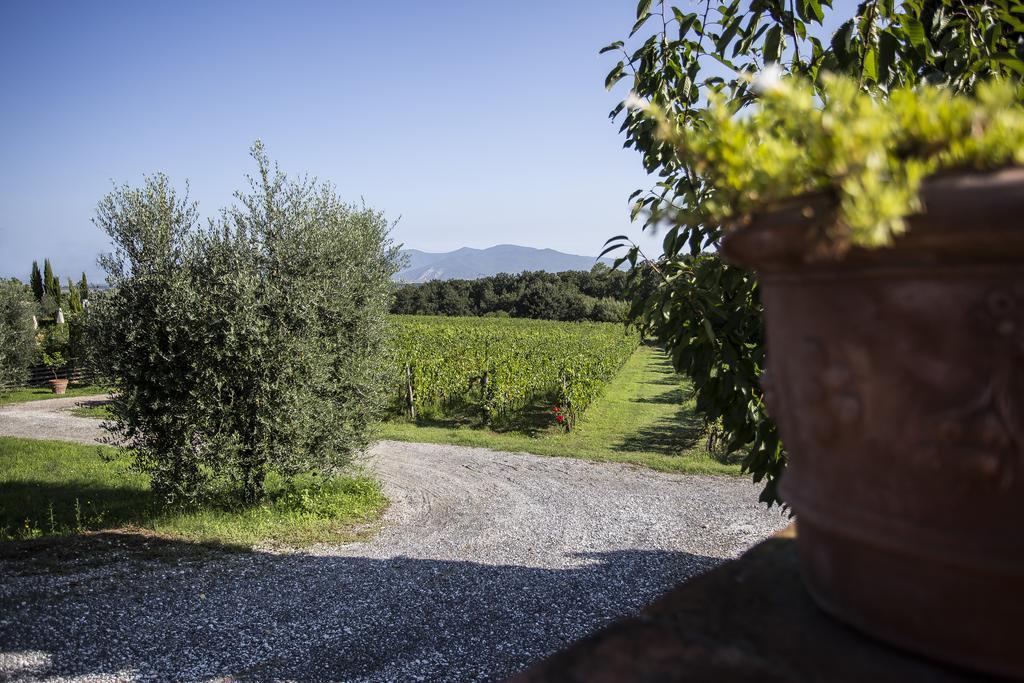 Agriturismo Gli Archi Fauglia Buitenkant foto
