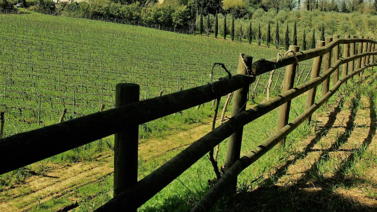 Agriturismo Gli Archi Fauglia Buitenkant foto